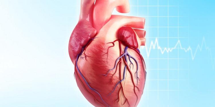 <p><strong>Solunum sistemi hastalıkları 69316 Kişi</strong></p>
<p>Akut üst solunum yolu enfeksiyonları: 80 Kişi</p>
<p>-Grip: 52</p>
<p>-Pnömoni: 39988</p>