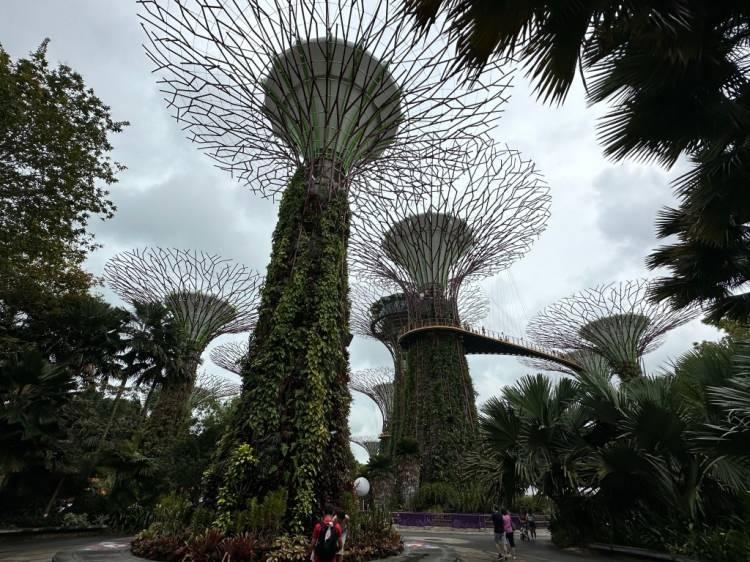 <p><strong><span style="color:#B22222">8)  SİNGAPUR </span> |  YÜZDE 22</strong></p>

<p> </p>

<p>İnanmayanlar: Yüzde 57</p>

<p> </p>

<p>Singapur'daki uzaylı çiçekler olarak adlandırılan ağaçlar...</p>
