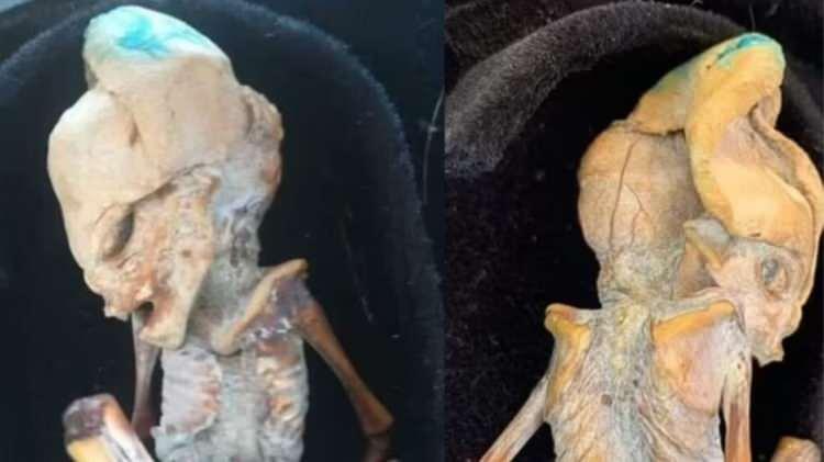 <p><strong><span style="color:#B22222">5)  KOLOMBİYA</span>  |  YÜZDE 26</strong></p>

<p> </p>

<p>İnanmayanlar: Yüzde 51</p>
