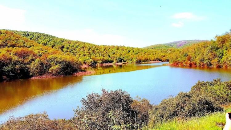 <p>İnternet ilanlarına baktığımızda, bölgede 30-35 adet arasında satılık arsa ilanı olduğunu görüyoruz.</p>