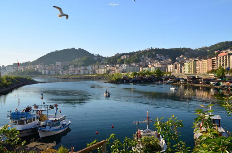 <p><span style="color:#2F4F4F"><strong>Giresun Adası: </strong></span>Karadeniz'de üzerinde yerleşim olan tek ada.</p>
