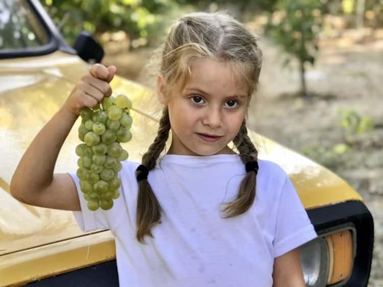 <p>Ersoy, sosyal medya hesabından yaptığı paylaşımda, Ormana'nın <strong>"en iyi turizm köyü"</strong> seçildiğine dikkati çekerek, şunları kaydetti:</p>
