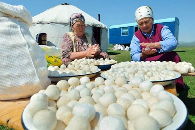 <p><strong>Kurut</strong>, özellikle dağlık ve yüksek iklimli bölgelerde, yöresel halk tarafından büyük bir emekle üretilir. Yaylalarda, tereyağı yapımından artan ayran önce süzülüp kaynatıldıktan sonra <strong>kaya tuzu</strong> ile karıştırılarak kurutulur. Güneşte kurutuldukça, üzerinde <strong>laktik bakteriler</strong> çoğalır ve bu da kurutun besin değerini artırır.</p>
