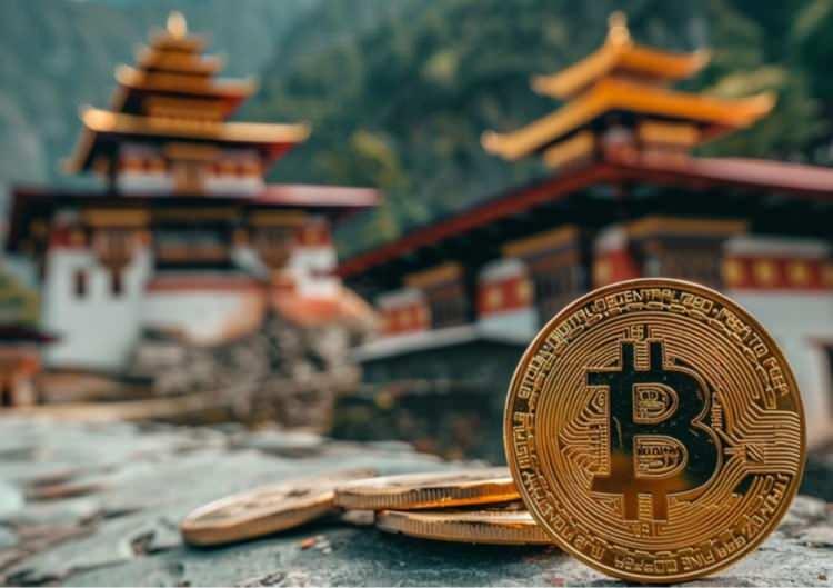 <p><strong><span style="color:#B22222">13,029 BITCOIN</span> | 1.13 MİLYAR DOLAR</strong></p>
<p> </p>