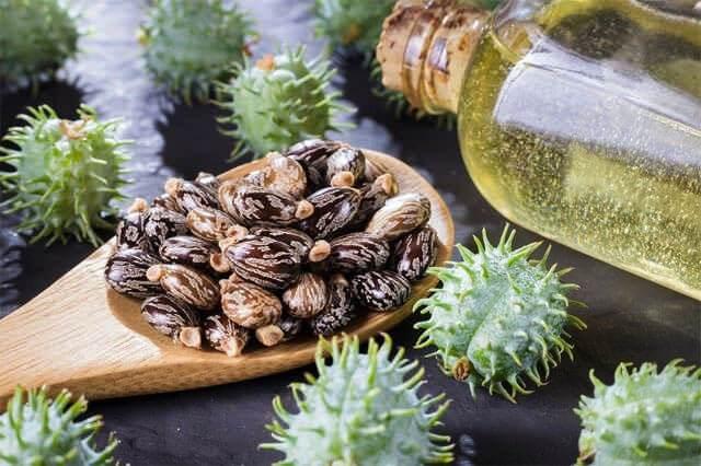 <p>İçerdiği <strong>E vitamini</strong>, <strong>mineraller</strong> ve <strong>omega-6 yağ asitleri</strong>, saç köklerini besler ve güçlendirir. Ayrıca, <strong>antibakteriyel özellikleri</strong> sayesinde saç kıran gibi sorunları engeller. Bu da, saçların sağlıklı bir şekilde uzamasına yardımcı olur.</p>
