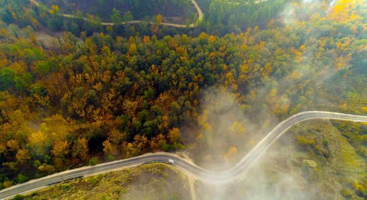 <p>Isparta'nın Eğirdir ilçesinde sonbaharın gelmesiyle renk cümbüşüne çevrilen orman, dünyadaki tek kasnak meşesi ormanı...</p>
