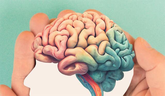 <p><strong>- Soyut Düşünme ve Problem Çözme</strong>: Üstün zekalı çocuklar, soyut kavramları kolayca anlayabilir ve karmaşık problemlere yaratıcı çözümler üretebilirler.</p>