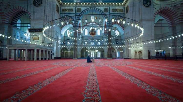 <p><span style="color:inherit">İstanbul 3555</span></p>
