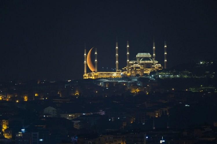 <p><span style="color:inherit">Adana 1483</span></p>

<p> </p>
