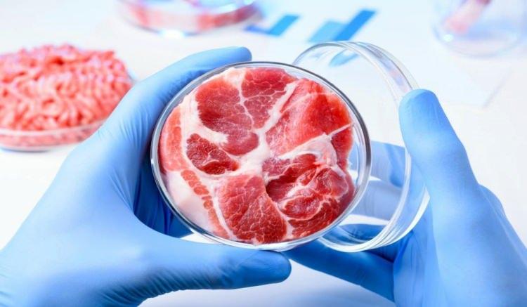 <p>12. <strong>Yapay Et ve Alternatif Besin Kaynakları</strong></p>

<p>Laboratuvarda üretilen et teknolojileri.</p>

<p>Bitki bazlı proteinler ve sürdürülebilir beslenme trendleri.</p>

<p>Küresel gıda krizine karşı yeni çözümler.</p>
