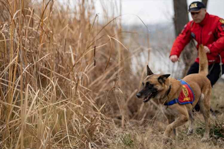 <p>Geniş bir ormanlık alana jandarma ekiplerince gömülen bir kadavrayı, arama köpeği <strong>"Başat" </strong>hassas burnuyla tespit etti. </p>
