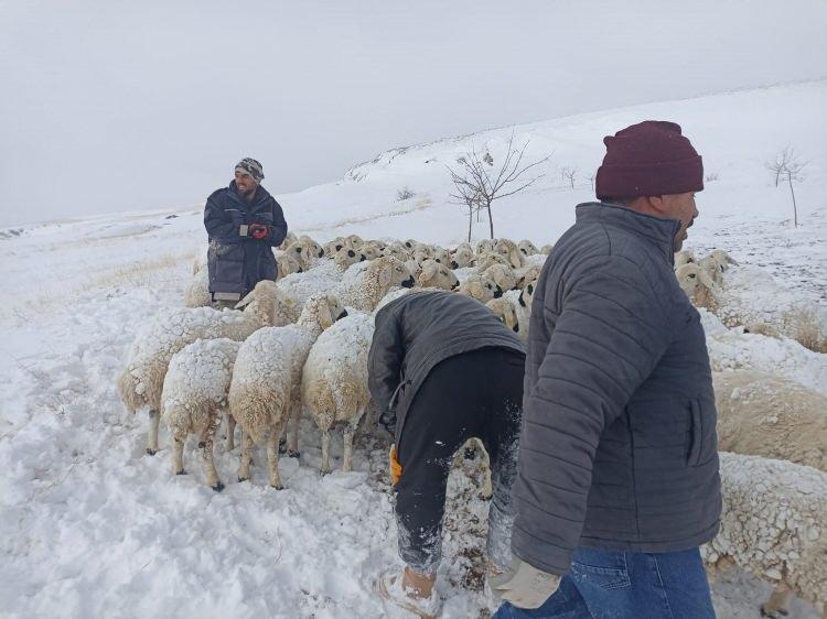 <p>Malatya'da dün başlayan yağış ile birlikte yüksek rakımlı bölgelerde kar kalınlığı bir metreyi geçerken Hekimhan ilçesinde tipiye yakalanan 5 çobandan biri donarak hayatını kaybetmişti. </p>
