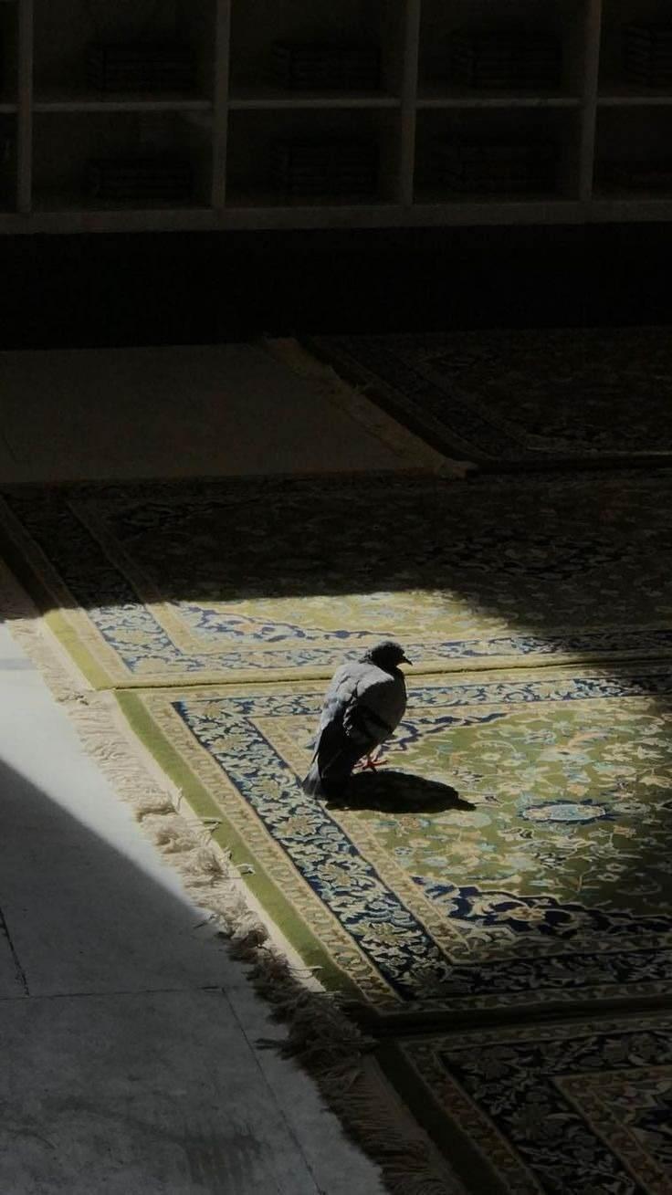 <p><span style="color:#000000"><strong>Bugün, Allah'ın rahmetiyle arınmak, duaların kabul olduğu bir gündür. Kalbinizden geçen tüm dilekler kabul olsun. Hayırlı Cumalar...</strong></span></p>

