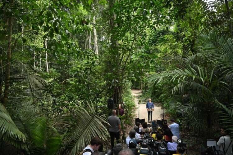 <p>Başkan Joe Biden, G20 Zirvesi i&ccedil;in Rio de Janeiro'ya gitmeden &ouml;nce Brezilya'nın Manaus kentindeki Amazon Yağmur Ormanları'nı ziyaret ederken Museu da Amazonia'yı gezerken 17 Kasım'ı Uluslararası Koruma G&uuml;n&uuml; olarak belirleyen bir bildiriyi imzaladıktan sonra konuşuyor.&nbsp;</p>

<p>&nbsp;</p>

<p><span style="color:rgb(163 165 169/var(--tw-text-opacity))">Saul Loeb&mdash;AFP/Getty Images</span></p>

<p>&nbsp;</p>
