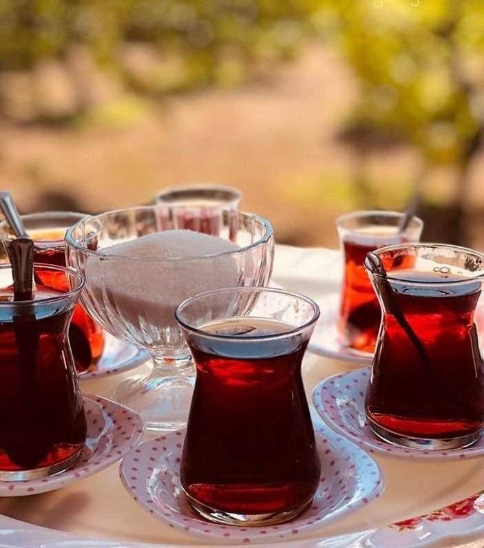 <p>ÇAYKUR kısaltma adı ile bilinen Çay İşletmeleri Genel Müdürlüğü, Türkiye'de en çok çay tüketen iller listesini duyurdu.</p>
