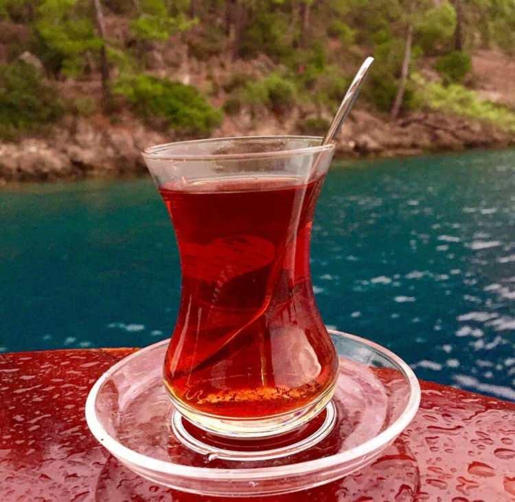 <p>Listeyi gören herkes şaşırdı çünkü Rize ve çevresindeki illerin ilk sırada olması bekleniyordu fakat sonuçlar tam tersini gösterdi. </p>
