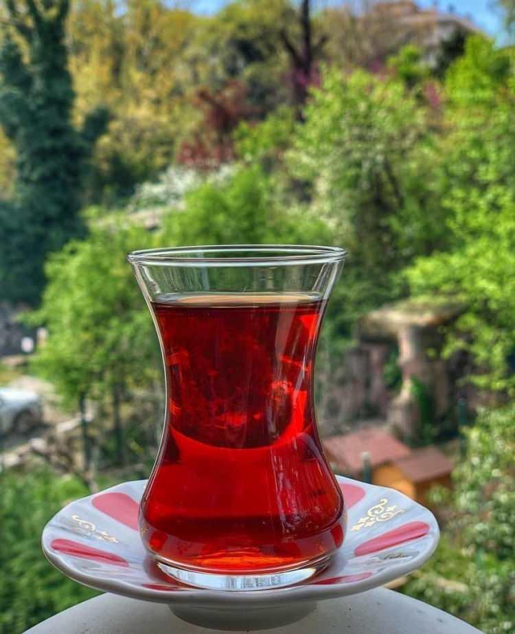 <p><span style="color:#2F4F4F"><strong><em>TÜRKİYE'DE EN ÇOK ÇAY TÜKETEN İLLER</em></strong></span></p>
<p> </p>