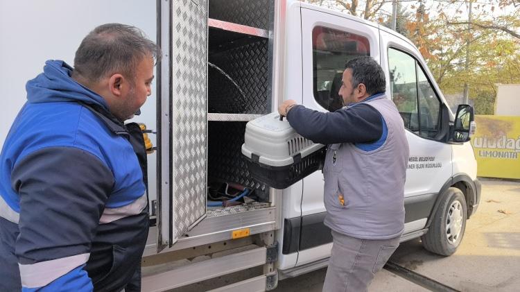 <p>Kedinin hastane kapısıyla, koridorda beklediği anlar kameraya yansıdı. </p>
