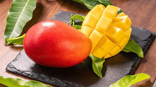 <p><strong>2- Mango</strong></p>
<p><strong>Mango</strong>, böbrek sağlığını iyileştiren bir diğer meyvedir. <strong>Lif</strong>, <strong>vitamin</strong> ve <strong>antioksidan</strong> bakımından zengin olan mango, böbreklerin işleyişini destekler. Ayrıca, <strong>potasyum</strong> içeriğiyle böbrek taşlarının oluşum riskini azaltabilir ve toksinlerin vücuttan atılmasını hızlandırabilir.</p>