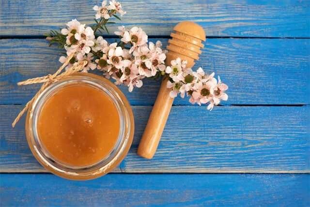 <p>Manuka balı, Yeni Zelanda'nın dağlık bölgelerinde yetişen <strong>manuka çiçeklerinden</strong> elde edilen özel bir bal türüdür. Arıların bu çiçeklerden topladığı nektar, balın içerdiği <strong>metilglikoksal (MGO)</strong> maddesinin yüksek olmasına neden olur.</p>
