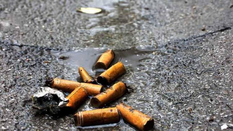 <p>Diyarbakır'dan Komisyona iletilen bir dilekçede vatandaş, yere atılan sigara izmaritlerinden dert yanarak, sigara izmariti atanlara para cezası verilmesi önerisinde bulundu.</p>