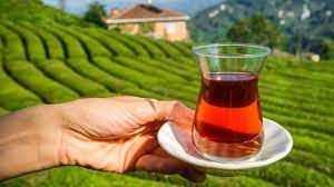 <p><strong>FATİH GOLD -SİYAH ÇAY</strong><br />
</p>