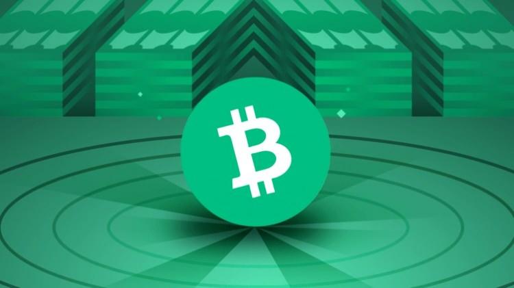 <p>BITCOIN CASH</p>
<p>2024 YÜKSELİŞİ: %110</p>