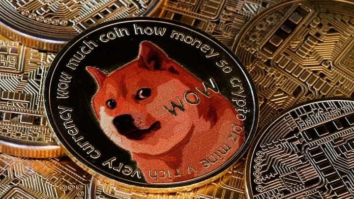 <p>DOGECOIN</p>
<p>2024 YÜKSELİŞİ: %358</p>
