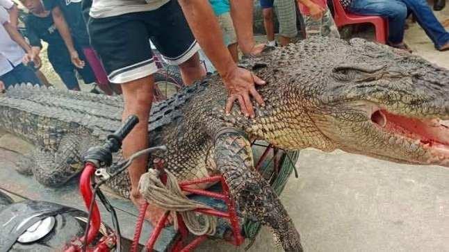 <p>4 çocuk annesi olan 46 yaşındaki Nurhawati Zihura nehir kenarında otururken ayaklarını yıkamak istedi ve ayaklarını suya soktu. </p>
