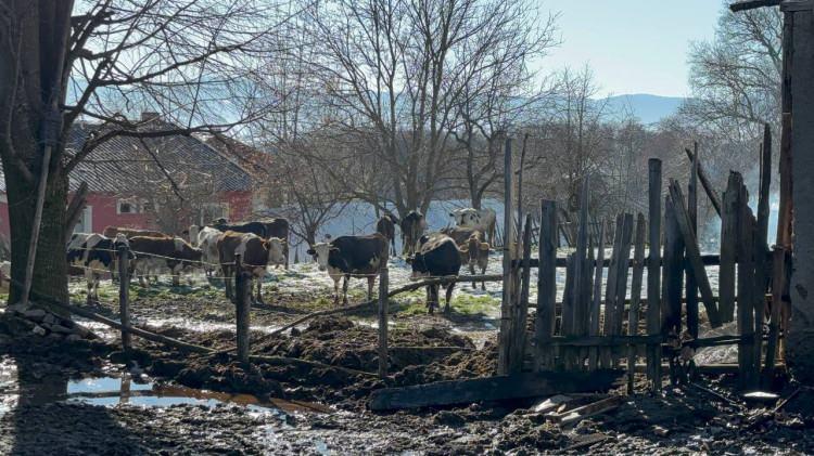 <p>Yangın, saat 11.00 sıralarında Mesciçele köyünde meydana geldi.</p>