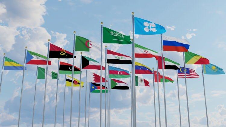 <p><span style="color:#B22222"><strong>ÜYE ÜLKELER:</strong></span><strong> Suudi Arabistan, Irak, İran, Kuveyt, Venezuela, Birleşik Arap Emirlikleri, Cezayir, Angola, Nijerya, Ekvador, Gabon, Ekvator Ginesi, Libya</strong></p>
<p> </p>
<p><strong>Kuruluş Tarihi: </strong>14 Eylül 1960</p>
<p> </p>
<p><strong>Güç Unsurları: </strong>Küresel petrol fiyatları üzerindeki kontrol. Dünya petrol rezervlerinin %80'ini temsil ediyor.</p>