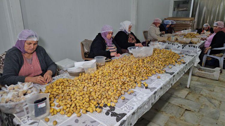 <p>Coğrafi işaret tesciliyle korunan Aydın kestanesinden üretilen kestane şekerine olan talep kıtaları aştı.</p>
