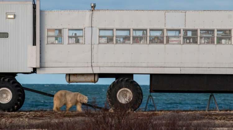 <p><strong>11. TUNDRA LODGE</strong></p>

<p>Kanada'da bulunan bu otel, doğayla iç içe ve sanki bir kamyonun içinde yaşıyor gibi bir deneyim sunuyor.</p>
