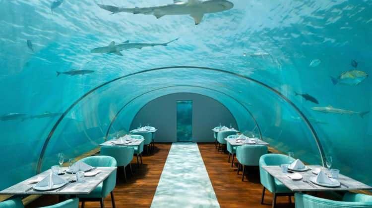 <p><strong>14. THE CONRAD MALDIVES RANGALI ISLAND</strong></p>

<p>Maldivler'de bulunan bu otel bir akvaryumun içinde.</p>
