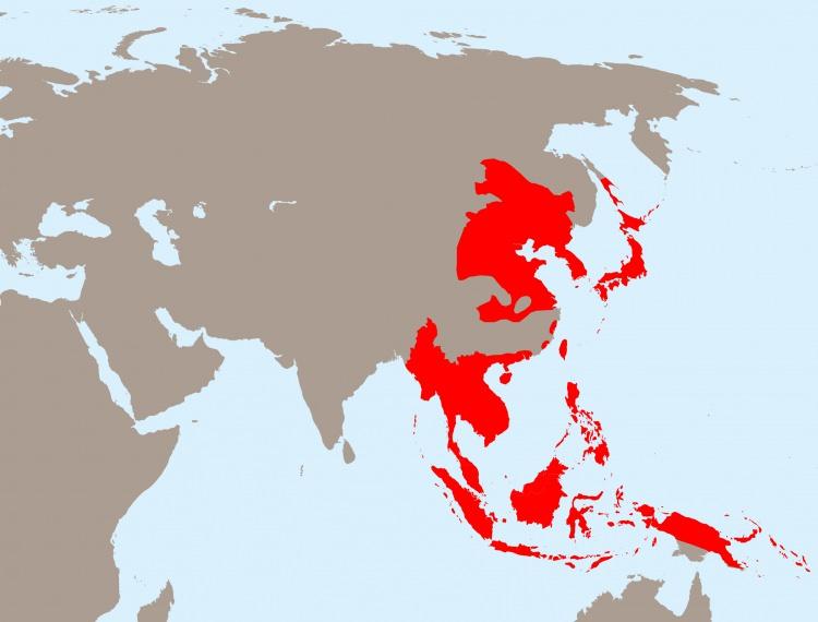 <p><span style="color:#B22222"><strong>Ülkeler: </strong></span>Japonya.</p>
