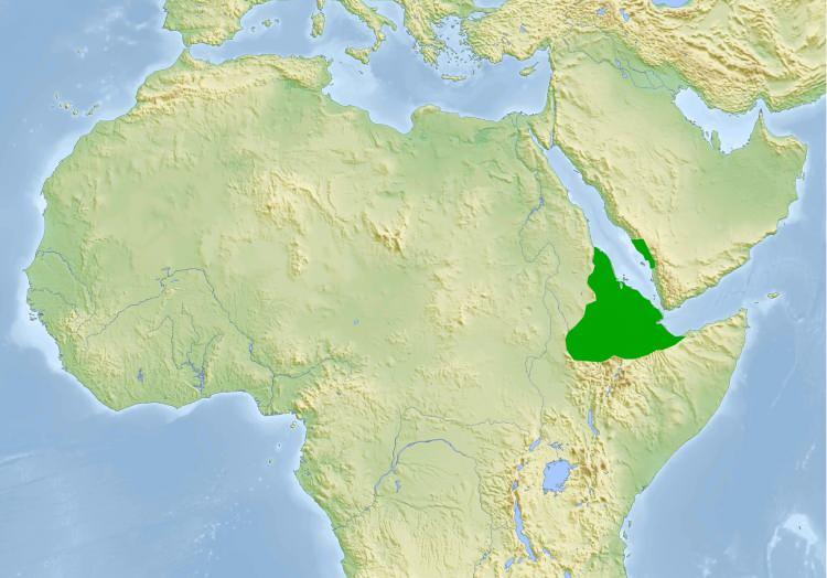<p><span style="color:#B22222"><strong>Ülkeler: </strong></span>Etiyopya, Eritre</p>
