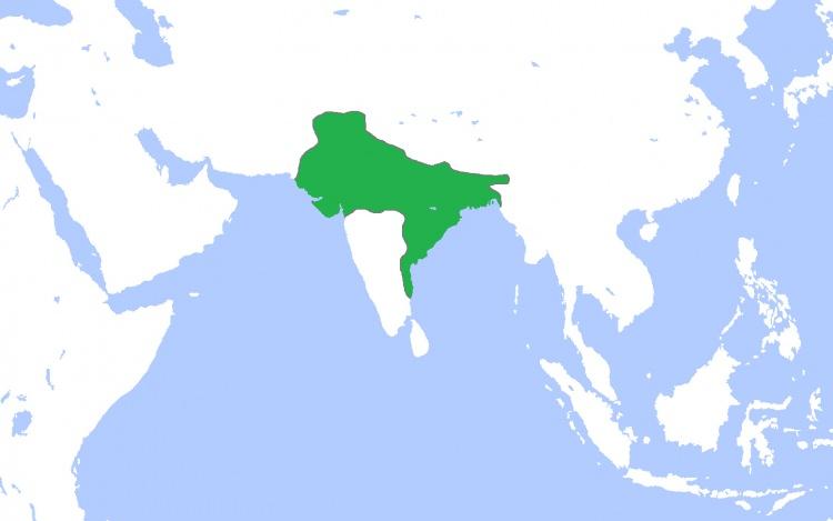<p><span style="color:#B22222"><strong>Ülkeler:</strong></span> Hindistan, Bangladeş, Pakistan.</p>