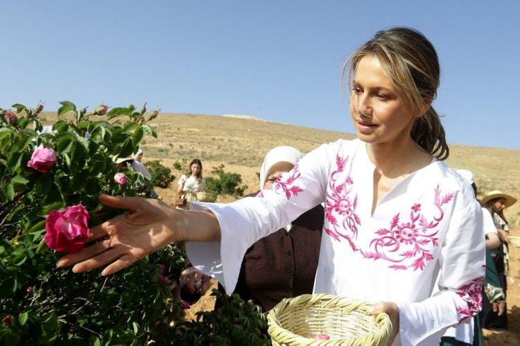 <p>Esma Esed, daha önce de meme kanseri tedavisi görmüş ve Ağustos 2019'da bir yıllık tedavinin ardından hastalıktan tamamen kurtulduğunu açıklamıştı.</p>
<p>Lösemisinin bir süre remisyonda kaldıktan sonra yeniden ortaya çıktığına inanılıyor.</p>