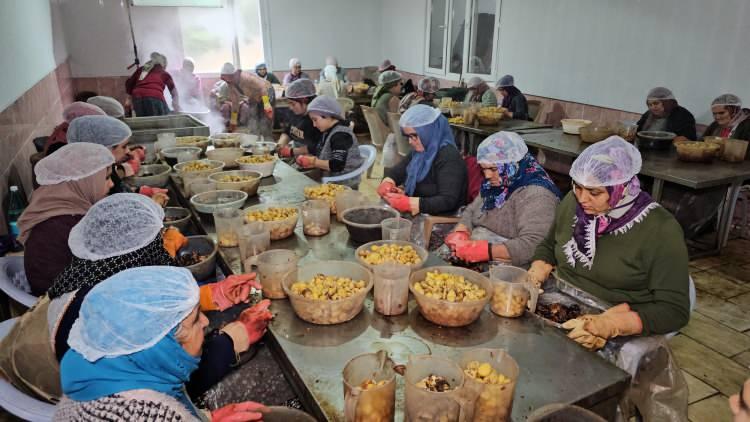 <p>Aydın'ın Nazilli ilçesinde yaşayan girişimci bir aile 18 yıl önce kestane şekeri üretmeye başladı. Ürettikleri şekeri Japonlara deneten aile, Japonları bu lezzetin müdavimi yapmayı başardı.</p>
