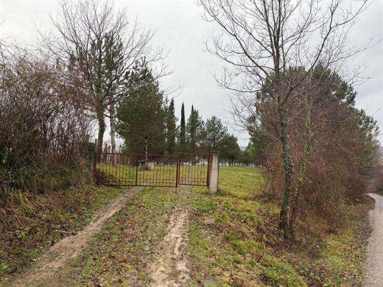 <p>Adliyeye sevk edilen anne, &ccedil;ıkarıldığı n&ouml;bet&ccedil;i hakimlik&ccedil;e tutuklandı.</p>
