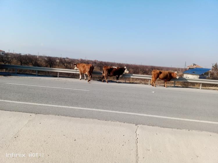 <p>Yaralananın olmadığı olayda yangın itfaiye ekipleri tarafından söndürülürken, araç kullanılmaz hale geldi.</p>

<p>Yangınla ilgili inceleme başlatıldı.</p>
