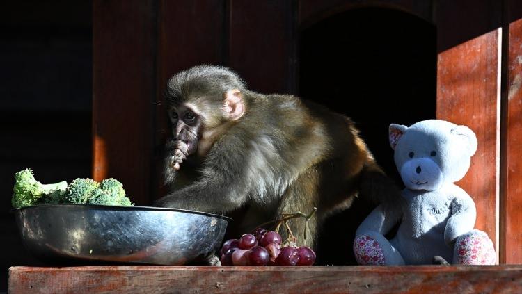 <p><span style="color:#B22222"><strong>PARKIN G&Ouml;ZDESİ OLDU</strong></span></p>
