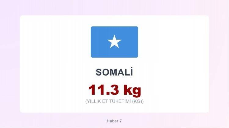 <p><span style="color:#B22222"><strong>SOMALİ</strong></span></p>
