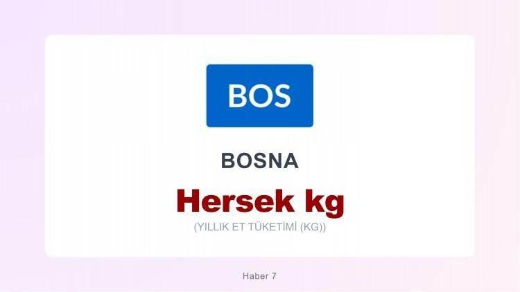 <p><span style="color:#B22222"><strong>BOSNA</strong></span></p>
