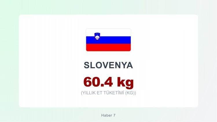 <p><span style="color:#B22222"><strong>SLOVENYA</strong></span></p>
