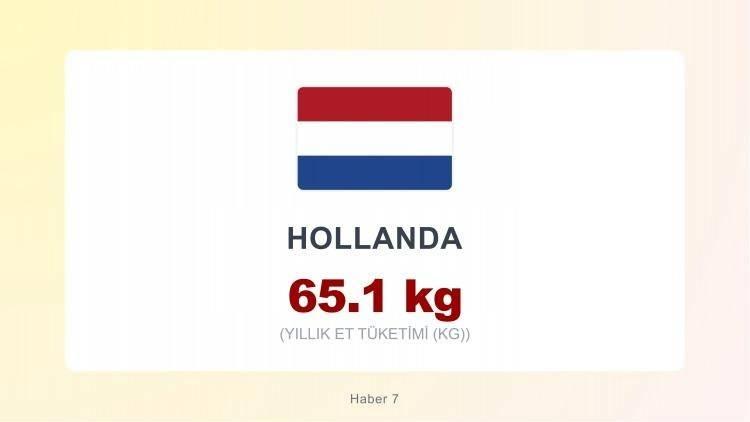 <p><span style="color:#B22222"><strong>HOLLANDA</strong></span></p>
