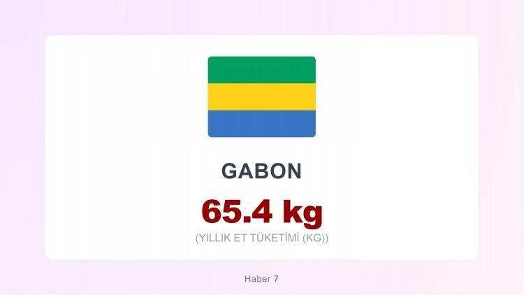 <p><span style="color:#B22222"><strong>GABON</strong></span></p>
