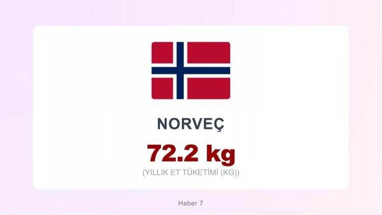 <p><span style="color:#B22222"><strong>NORVE&Ccedil;</strong></span></p>
