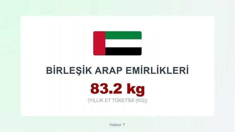 <p><span style="color:#B22222"><strong>BİRLEŞİK ARAP EMİRLİKLERİ</strong></span></p>
