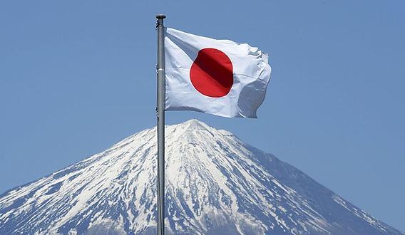 <p><span style="color:#B22222"><strong>JAPONYA</strong></span></p>
